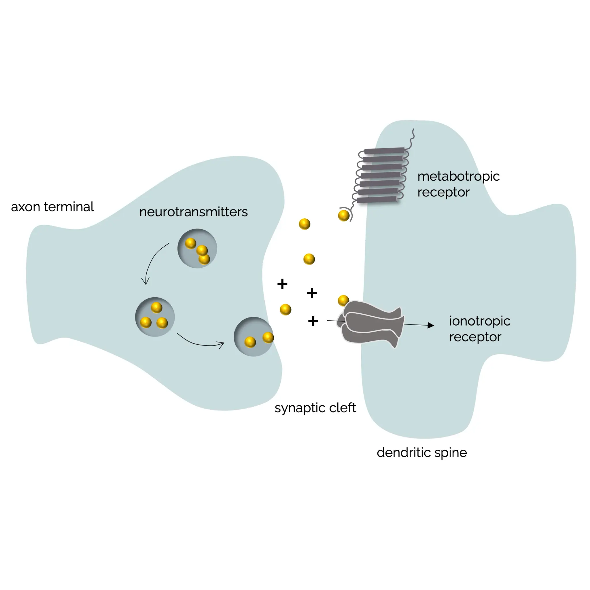 /diagrams/02.webp
