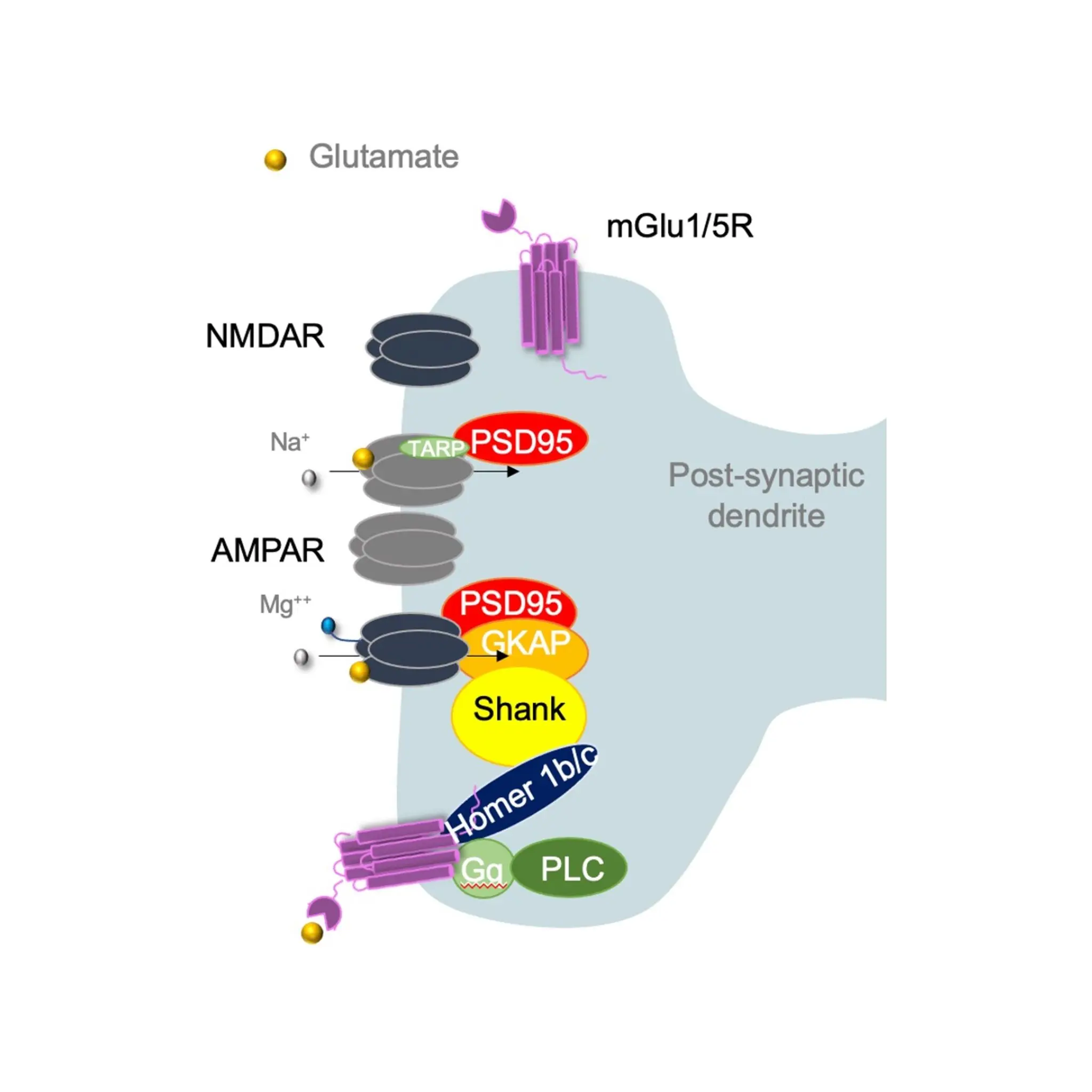 /diagrams/05.webp
