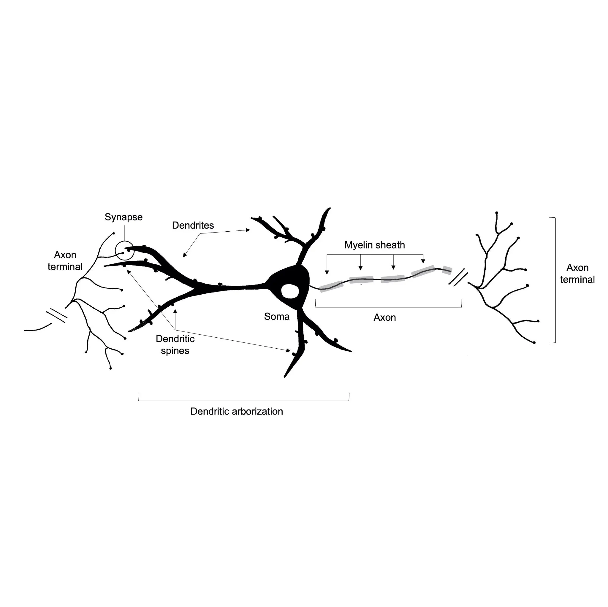 /diagrams/08.webp